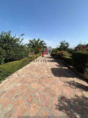 WhatsApp Image 2024-09-06 at 13.21.48 (14).jpeg