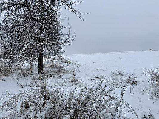 Ansicht Grundstück B.2