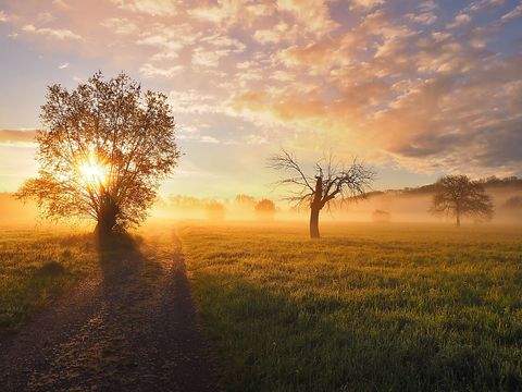 Heppenheim Grundstücke, Heppenheim Grundstück kaufen
