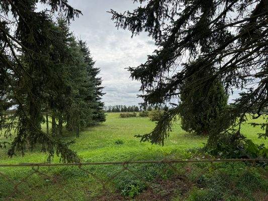 Blick auf Wiesen-und Ackerflächen