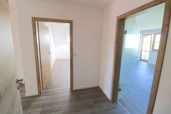 Eingang mit Blick WZ und Zi 1