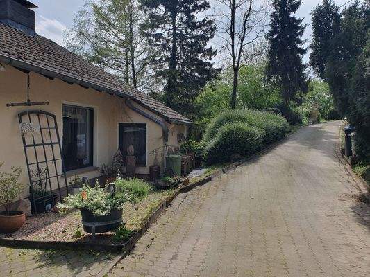 Zufahrt vom Haus aus gesehen