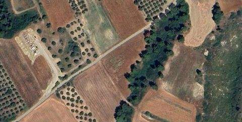 Chalkidiki Bauernhöfe, Landwirtschaft, Chalkidiki Forstwirtschaft