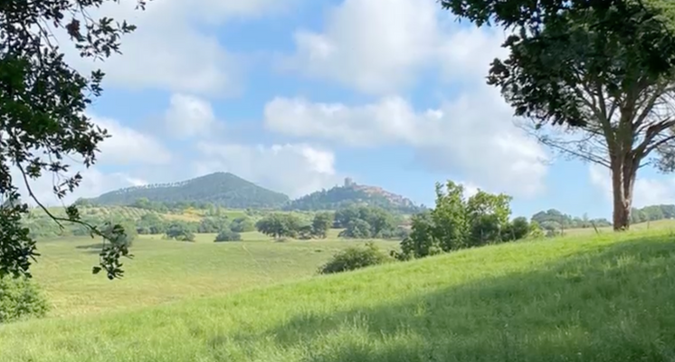 Screenshot 2025-10-20 alle 17.10.31.png