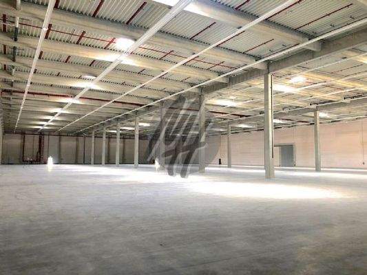 INFOS UNTER: 06171-586000