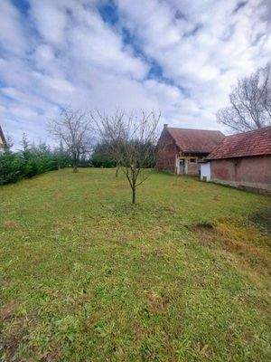 WhatsApp-kép, 2025-11-26, 17.24.12_c2903e96.jpg