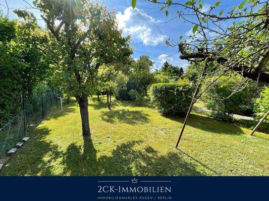 Albrecht-Dürer 22 015