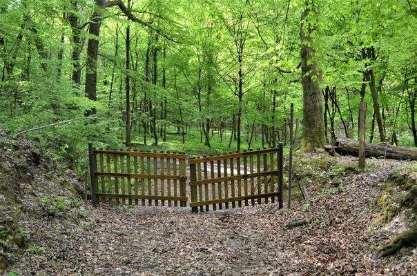 2. Zufahrt zum Grundstück