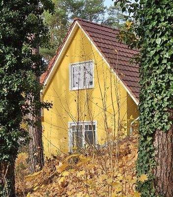 Giebel Südseite.jpg