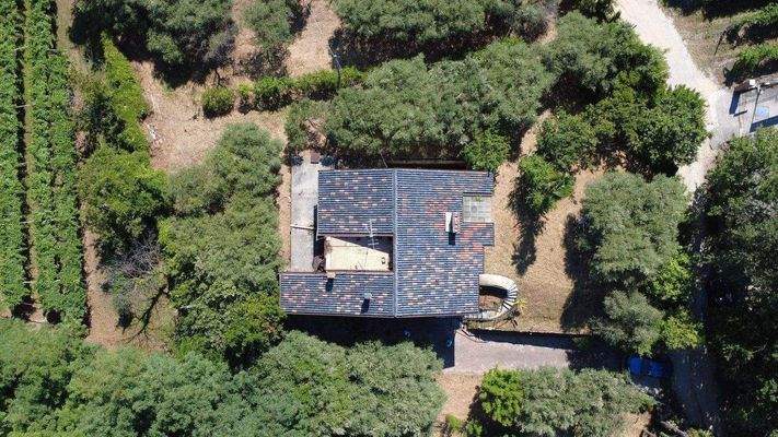 dji_fly_20250709_102512_29_1752049563528_photo_opt