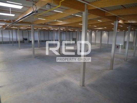 Halle miten Mönchengladbach