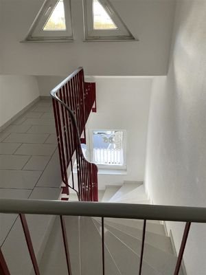 Bild6