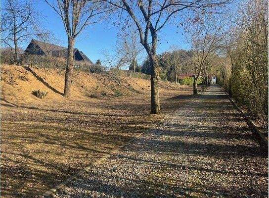 Bild 1 Grundstück.jpg