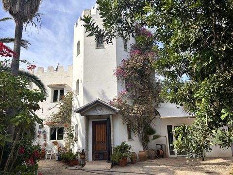 Santa Ponsa Halle, Santa Ponsa Hallenfläche