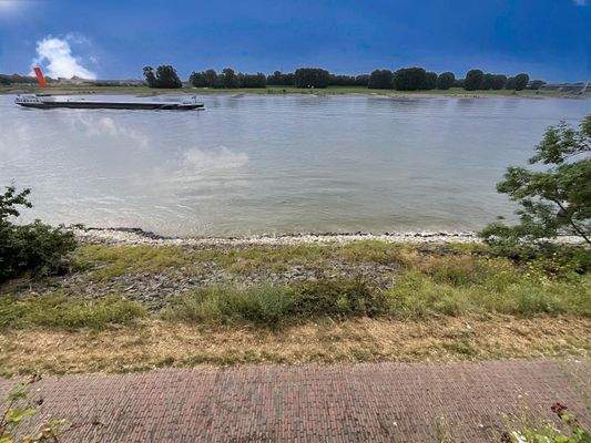 Rheinblick mit Fußweg