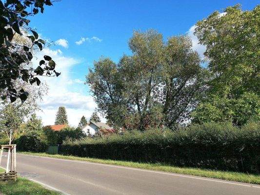 Die Baugrundstücke...