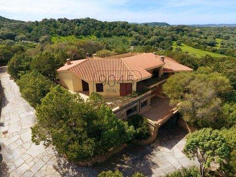 Palau Häuser, Palau Haus kaufen