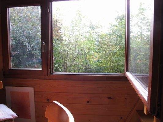 Ausblick ins Grüne.JPG