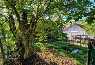 Garten und Terrasse (FILEminimizer)