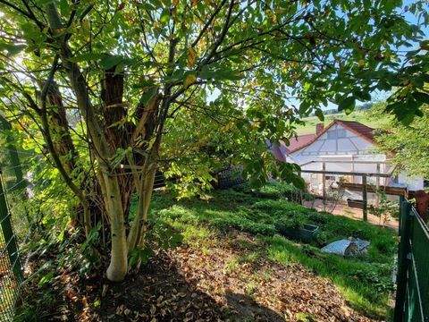 Lützelbach / Breitenbrunn Häuser, Lützelbach / Breitenbrunn Haus kaufen