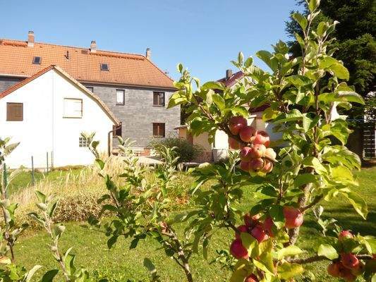Blick vom Garten zum Haus