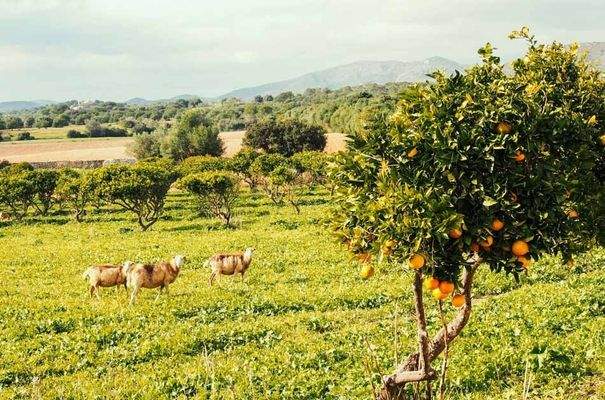 176_05_San Lorenzo_Anwesen_Blick