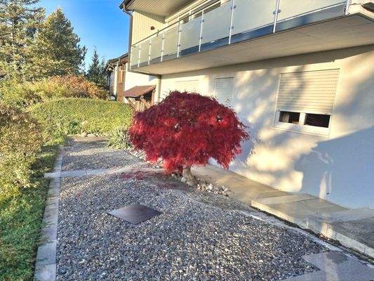 Hausansicht mit rotem Fächerahorn