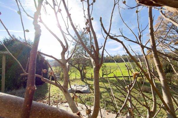 Birkenweg 4, Thal-37