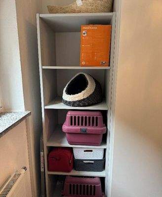 Haushaltsraum oder Küche