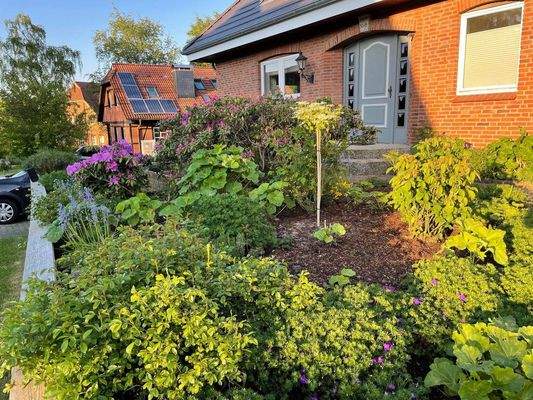 Gepflegte Gartenanlage vor dem Haus