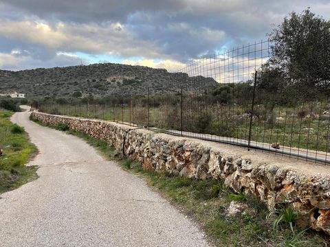 Kreta Bauernhöfe, Landwirtschaft, Kreta Forstwirtschaft