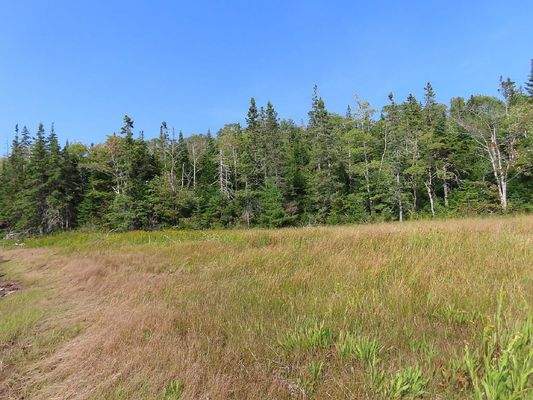 Cape Breton - Cleveland - Wunderschönes See-Ufer-G
