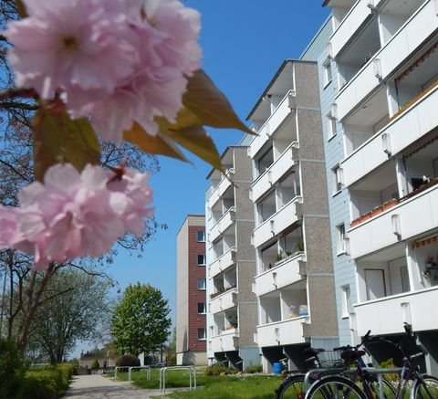 Schkeuditz Wohnungen, Schkeuditz Wohnung mieten