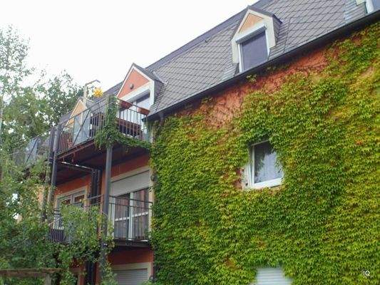 Ansicht Seitengebäude