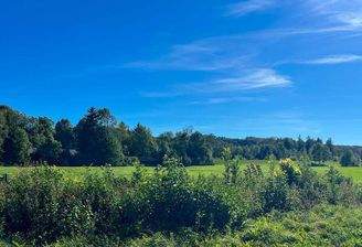 Blick ins Grüne