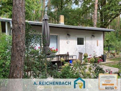 Bad Düben Häuser, Bad Düben Haus kaufen