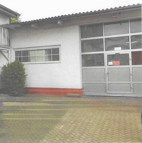 Brühl Halle, Brühl Hallenfläche