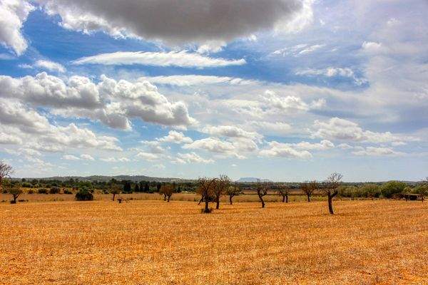 Zu-verkaufen-fantastische-Finca-in-sehr-ruhiger-Lage-bei-Costitx-Inca
