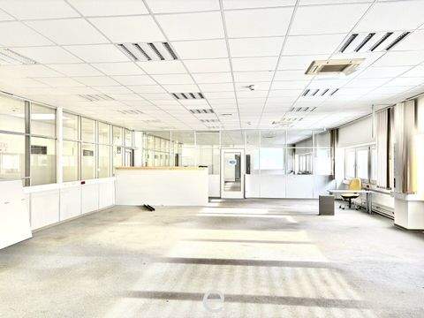 Wiener Neudorf Halle, Wiener Neudorf Hallenfläche