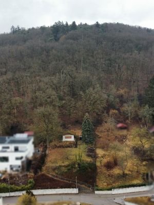 Blick auf das Grundstück