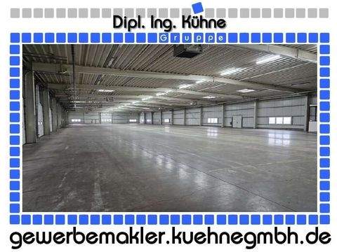Hermsdorf/Hohe Börde Halle, Hermsdorf/Hohe Börde Hallenfläche