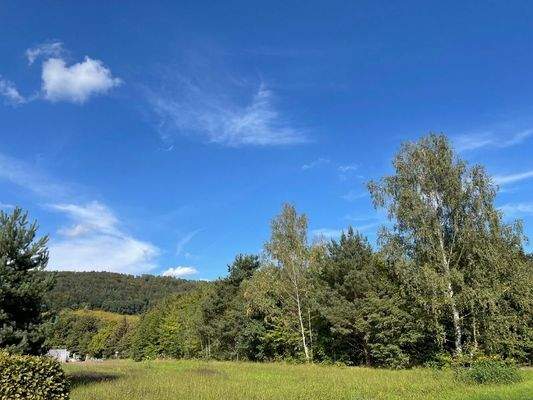 Herzlich Willkommen!