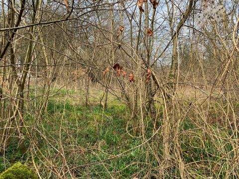 Bevern Grundstücke, Bevern Grundstück kaufen