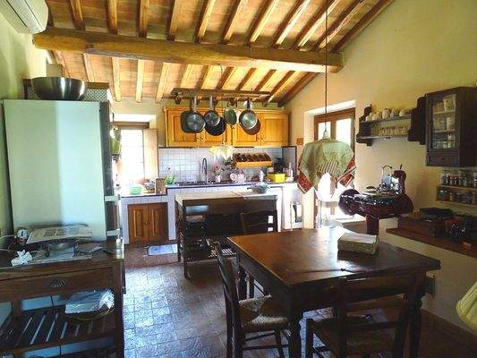 PHOTO-2024-03-26-18-37-38 7.jpg