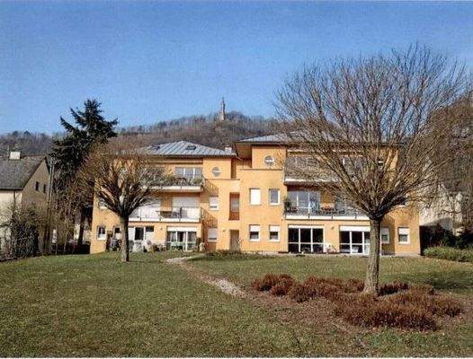 Rückseite Haus Garten.JPG