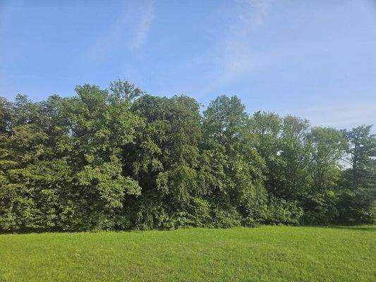 K1024_20250806_172638