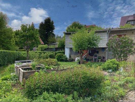 …Blick in den Garten