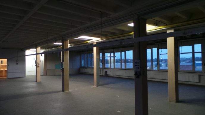 Drinda_Immorent_Lager_09