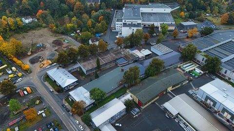 Hof Halle, Hof Hallenfläche