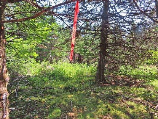 Nova Scotia - Grover?s Point - Atlantik-Grundstück